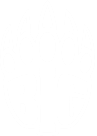 BIG